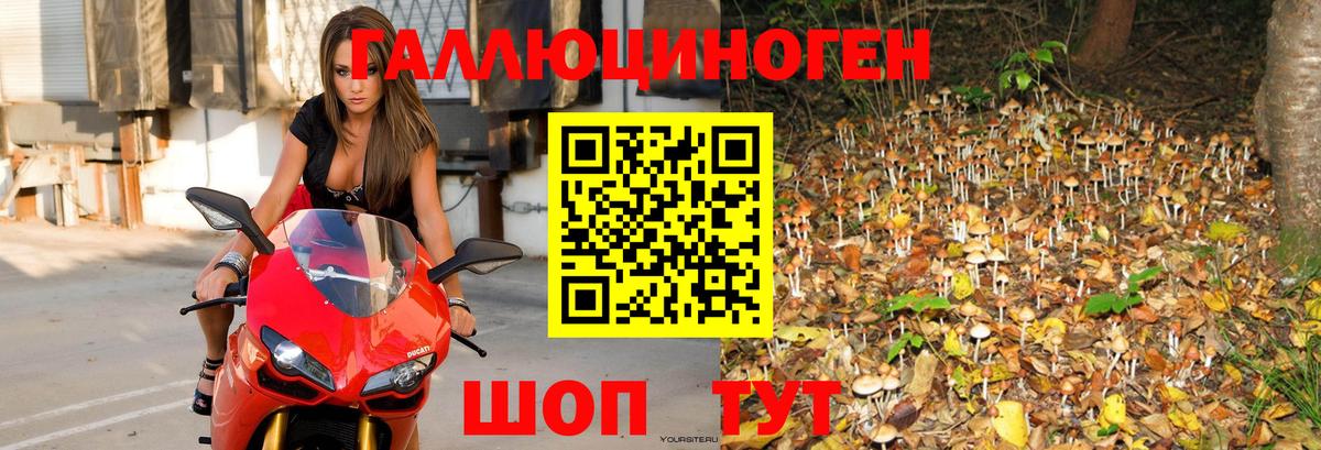 Галлюциногенные грибы ЛСД Тамбов